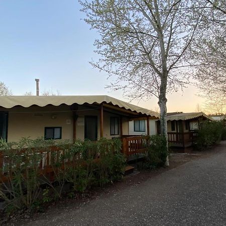 Zona Rosa 5 Chalet Mit Klimaanlage Und Wlan Viareggio Zewnętrze zdjęcie